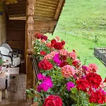 Bauernhof Unterstegen Gospodarstwo agroturystyczne *