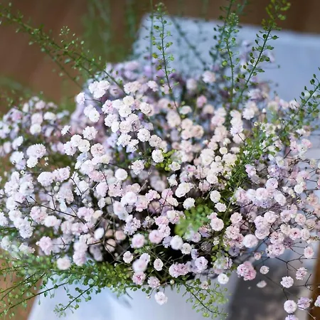 Bauernhof Unterstegen سول