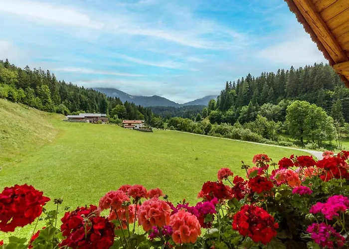 Farma Bauernhof Unterstegen *